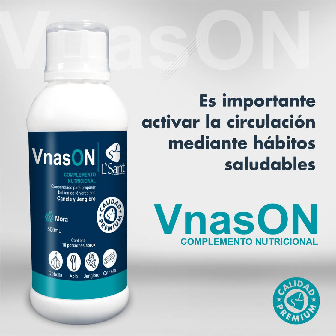 Vnas ON